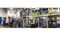 Oils Processing Services