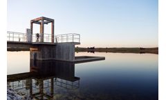 The Maximum Contaminant Level and the Public Water Supply