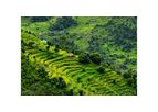 Agriculture and rural finance