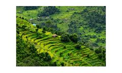 Agriculture and rural finance