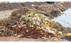 Harnessing Organic Waste for a Better Future
