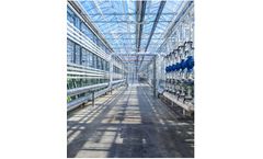 Carbon Capture, Utilisation & Storage (CCUS)