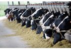 Agriculture