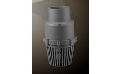 LD Valve - Model LD-813 - Swing Foot Valve – Socket / Threaded End