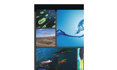 Remediation Products