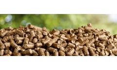 Energy production from biomass