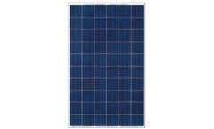 DelSolar - Model D6C_B3A-WS 230W - 250W - Multi-Crystalline Photovoltaic Solar Cell