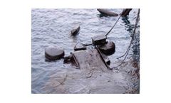 DESMI - Belt Oil Skimmers