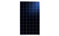Econess - Model EN156P-60-265-280W - Polycrystalline Solar Modules