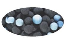 Model Odorcarb Ultra - Alumina-based Media