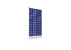 JA Solar - Model JAP6-60-235 - Polycrystalline PV Modules
