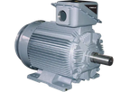 Tmeic - Model 21- FII Series - Induction Motors