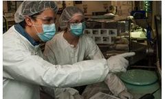 Silicon Carbide Coating Services