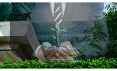 Energy Transition in Buildings: How to Achieve Net-Zero?