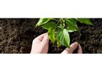 Organic Fertilizer