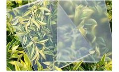 Xinyi - Anti-Reflective Coating	Solar Glass