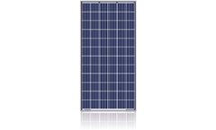 Sunflower - Model SF156×156-60-P 156 - 260W-275W Poly Crystalline Silicon PV-Modules
