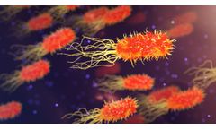 5 Waterborne Diseases Wastewater Treatment Systems Prevent