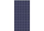 Dokio - Model DSP-300P - Multicrystalline Solar Modules