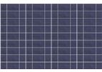 Dokio - Model DSP-50P - Monocrystalline Photovoltaic Module