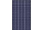 Dokio - Model DSP-250P - Mono-Crystalline Solar Module