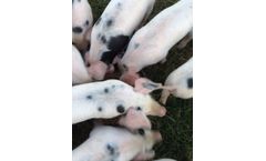 Odour nuisance assessment for agricultural facilities