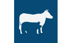 Korax - Meat Industry - Slaughterhouse Technologies