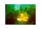 Diving