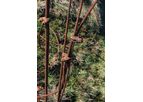 WMI - Met Mast Maintenance Services
