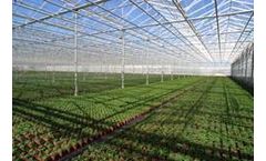 German - Green Heat Pellets