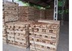 Hoang Diep - Model W001 - Wood