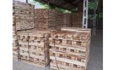 Hoang Diep - Model W001 - Wood