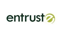 Hybrid Renewable Energy Services
