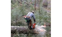 Local control can save forests, says new US research