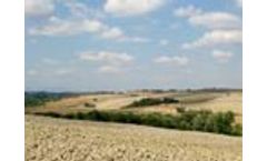 Abandoned farmlands are key to sustainable bioenergy