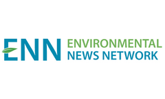 Bisphenol A exposure can increase risk of diabetes and heart attacks