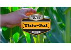 Tessenderlo-Kerley - Model (12-0-0-26S)  -Thio-Sul - Ammonium Thiosulfate Liquid Fertilizer