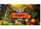 Tessenderlo-Kerley - Model (0-0-0-10S-6Ca) -CaTs - Calcium Thiosulfate Liquid Fertilizer