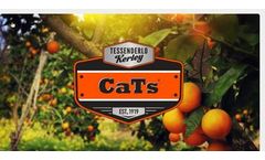 Tessenderlo-Kerley - Model (0-0-0-10S-6Ca) -CaTs - Calcium Thiosulfate Liquid Fertilizer