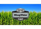 Tessenderlo-Kerley - Model (0-0-0-10S-4Mg) - MagThio - Liquid Fertilizers Liquid Fertilizer