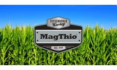 Tessenderlo-Kerley - Model (0-0-0-10S-4Mg) - MagThio - Liquid Fertilizers Liquid Fertilizer