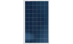 QS Solar - Model QSDGP/255-265Wp - Double Glass Polycrystalline Silicon Solar Module