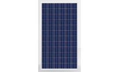 QS Solar - Model QSP6-72/305-320 - Poly Crystalline Silicon Solar Module