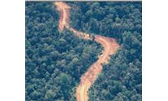 Papua New Guinea forests being cut and burned away
