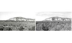 Rangeland Restoration