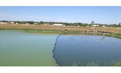 Biological Ammonia Removal for Aquaculture