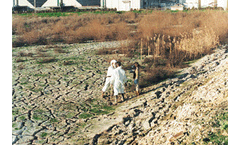Compliance & Corporate Audits And Environmental Due Diligences