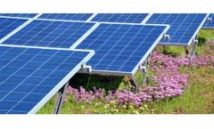 Bauder BioSOLAR - Integrated Mounting Solution for Photovoltaic Renewable Energy