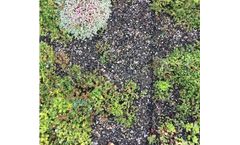 Bauder - Model EXTENSIVE-SB - British Grown Sedum Blanket