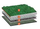Bauder - Model EXTENSIVE - Sedum System